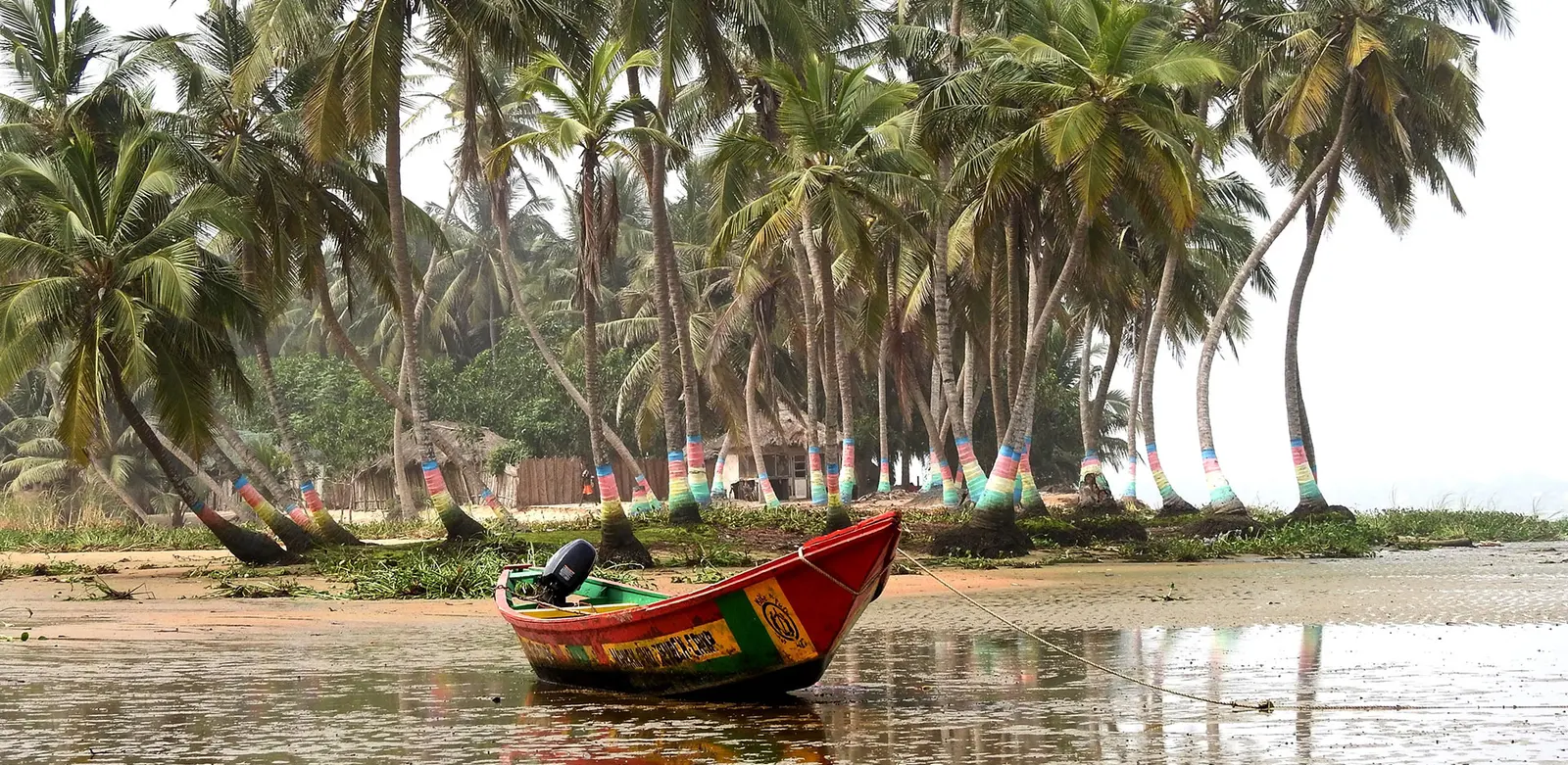 A painted wooden fishing boat moored on the shore in front of palm trees in Ghana